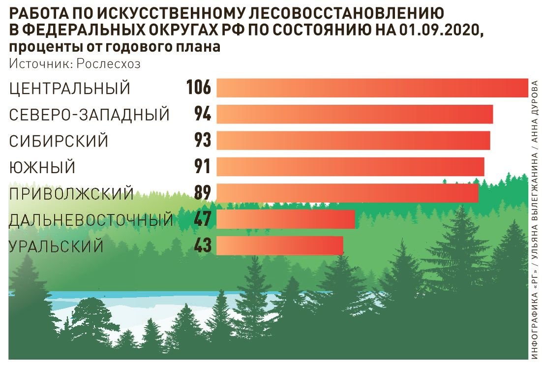 Проект естественного лесовосстановления